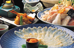 �Ƃ�ӂ���ȃv����