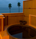 �ݐؘI�V���C