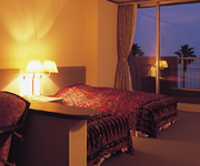 ����������C�𒭂߂�